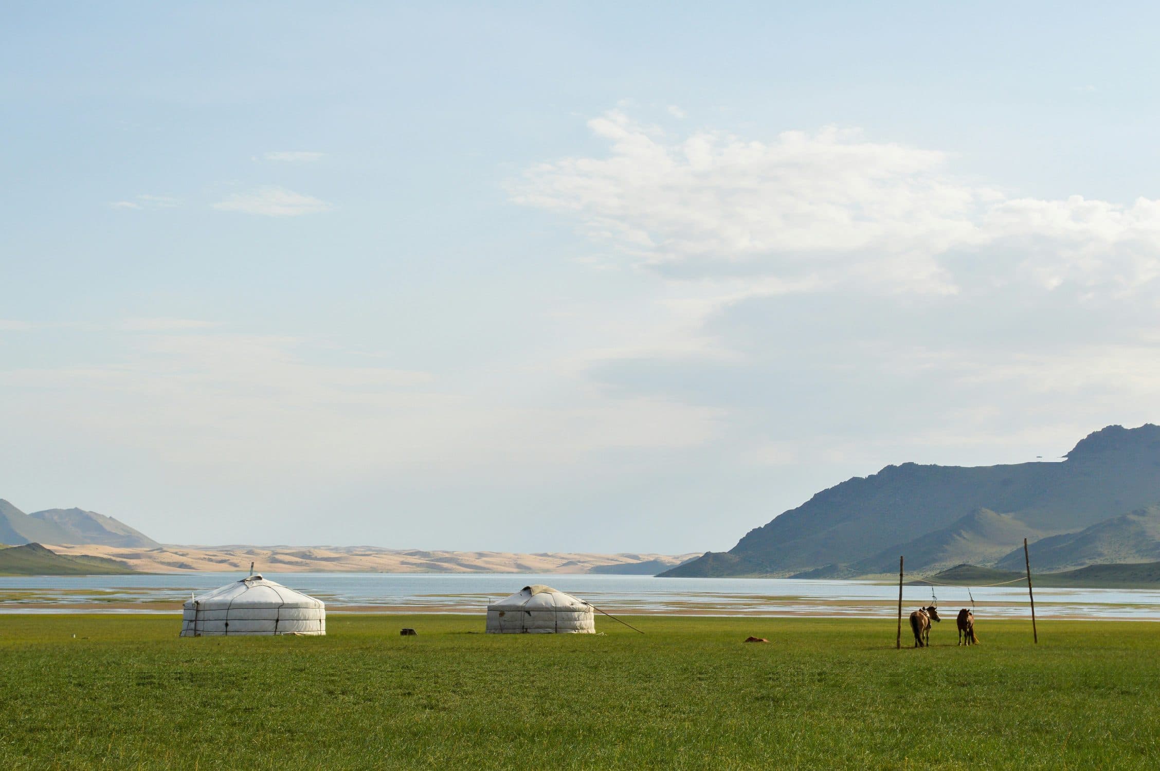 Two white gers and horses on green steppe beside a lake, mountains and dunes behind